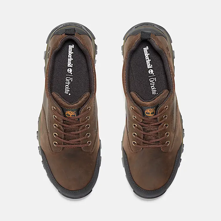 Mens Mt Maddsen Low Waterproof Hiking Boot TBL Brown ALT2